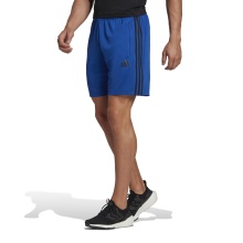adidas Sporthose Primeblue Designed To Move Sport 3-Streifen Shorts kurz royalblau Herren